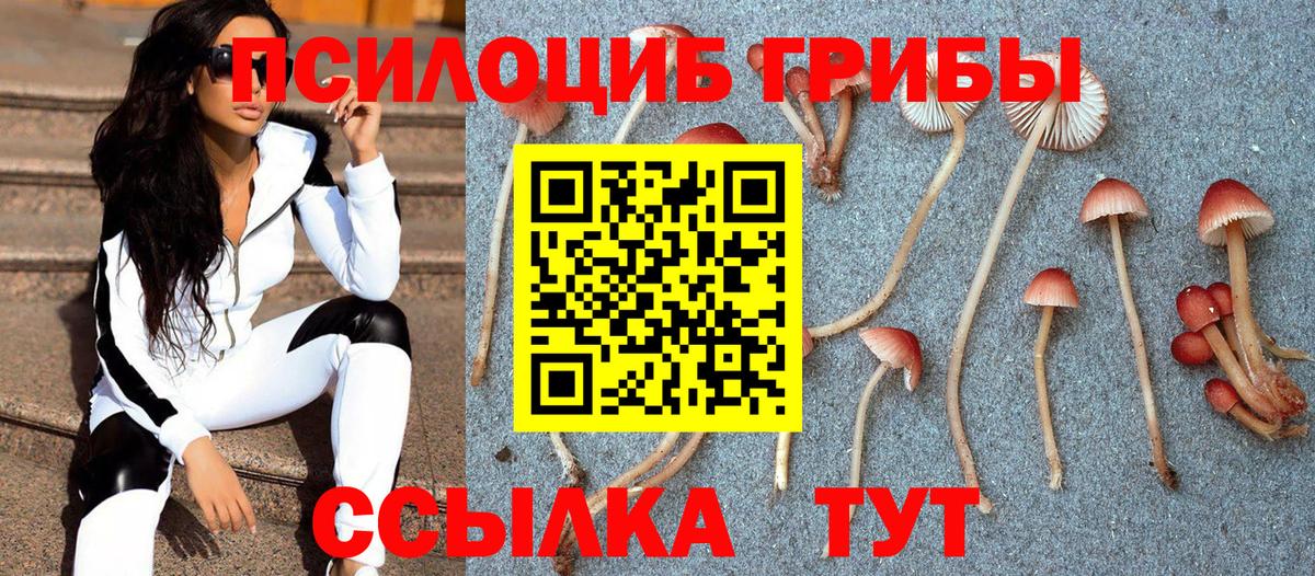 Галлюциногенные грибы ЛСД Гусев